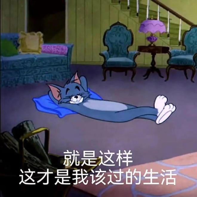 舒服的小事日子真的会变爽！新葡京花几十块钱解决家里不(图12)