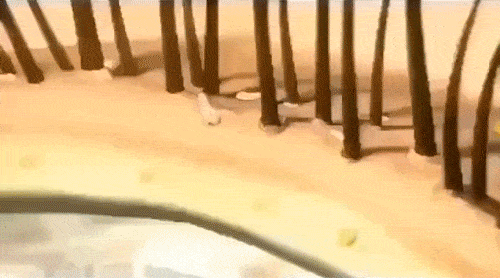 入冬洗头干发神器!养出女明星绸缎发!澳门新葡京app国产变态“抽水帽”(图19) 入冬洗头干发神器!养出女明星绸缎发!澳门新葡京app国产变态“抽水帽”(图19)